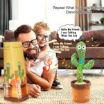 talking cactus toy